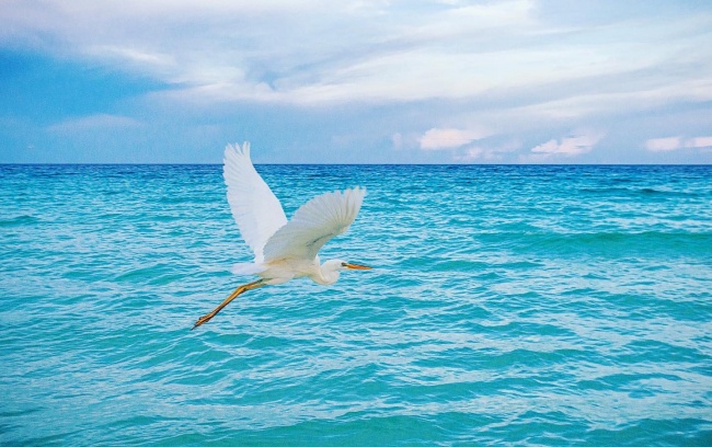 foto:Sandra Casas López - lo hecho en México