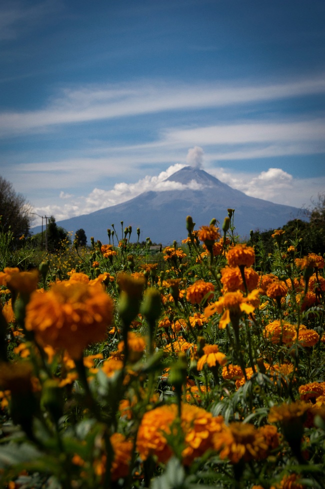 foto:Ruben Alejandro Rios Rodriguez - lo hecho en México