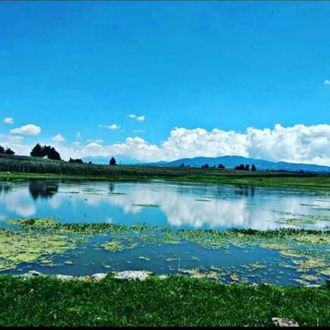 foto:Nayeli Fabila Hernandez - lo hecho en México