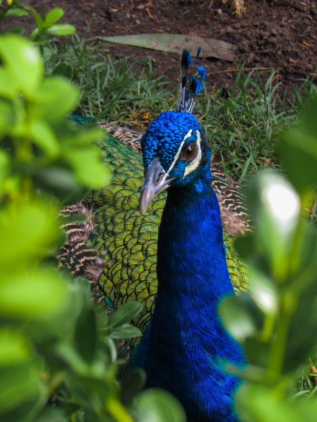 foto:Leticia Rodriguez Carbajal - lo hecho en México