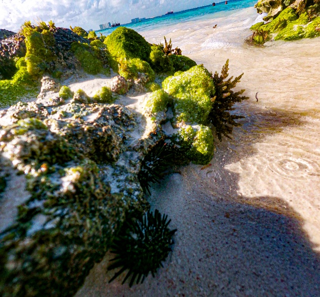 foto:Myrna Villarreal Rodriguez - lo hecho en México