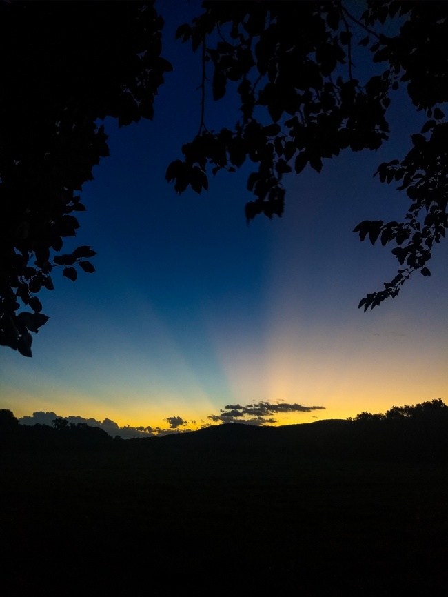 foto:Leslie Noemi Roque Victoriano - lo hecho en México