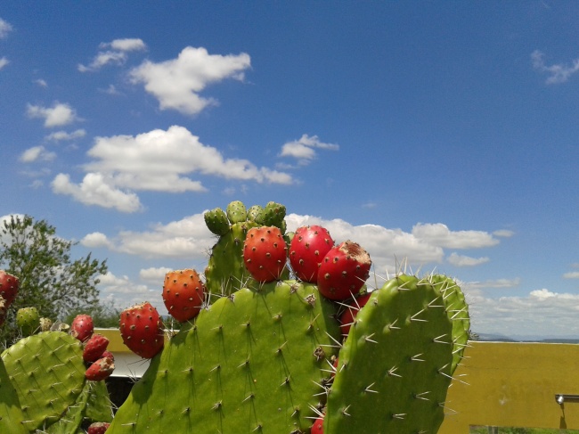 foto:David Ramírez - lo hecho en México