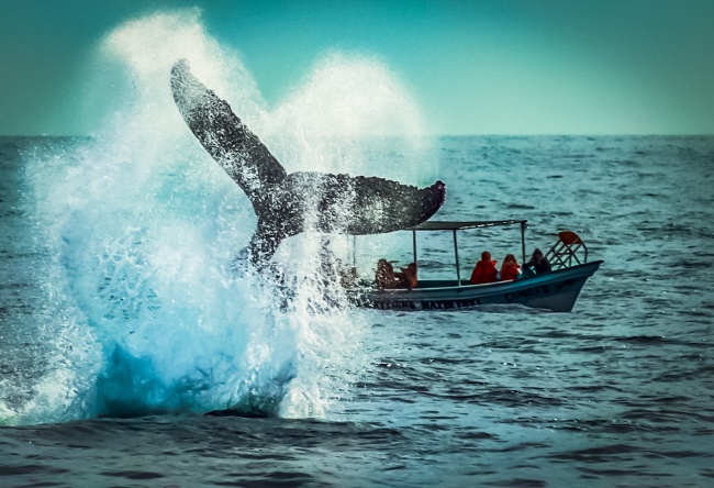 foto:Heribaldo Gudiño Velázquez - lo hecho en México