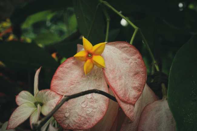 foto:Julian De Jesus Rivera Ortiz - lo hecho en México