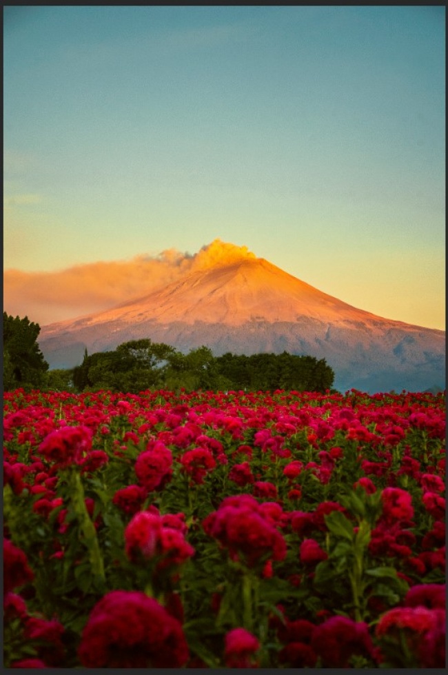 foto:JESUS ALEJANDRO VILLANUEVA LUNA - lo hecho en México