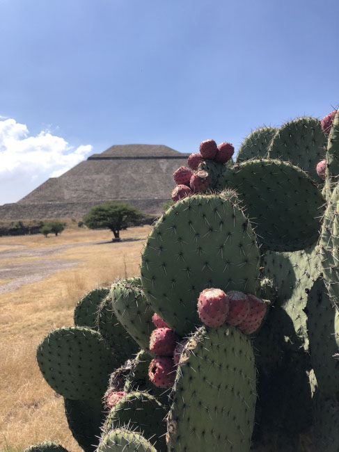 foto:Camila López Jalil - lo hecho en México