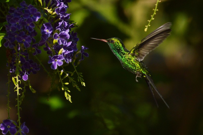 foto:Luis Arturo Brizuela Mundo - lo hecho en México