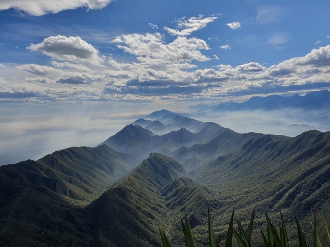 foto:Cintia Citlalli Garza - lo hecho en México