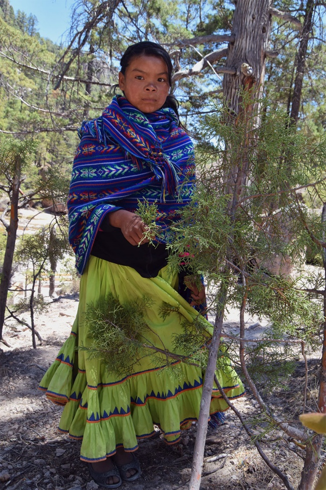 foto:BERTA ALICIA GODOY MEDINA - lo hecho en México