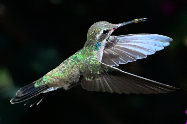 foto:Salvador GF - lo hecho en México