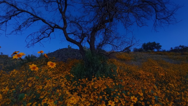 foto:Víctor Lugo Murillo - lo hecho en México