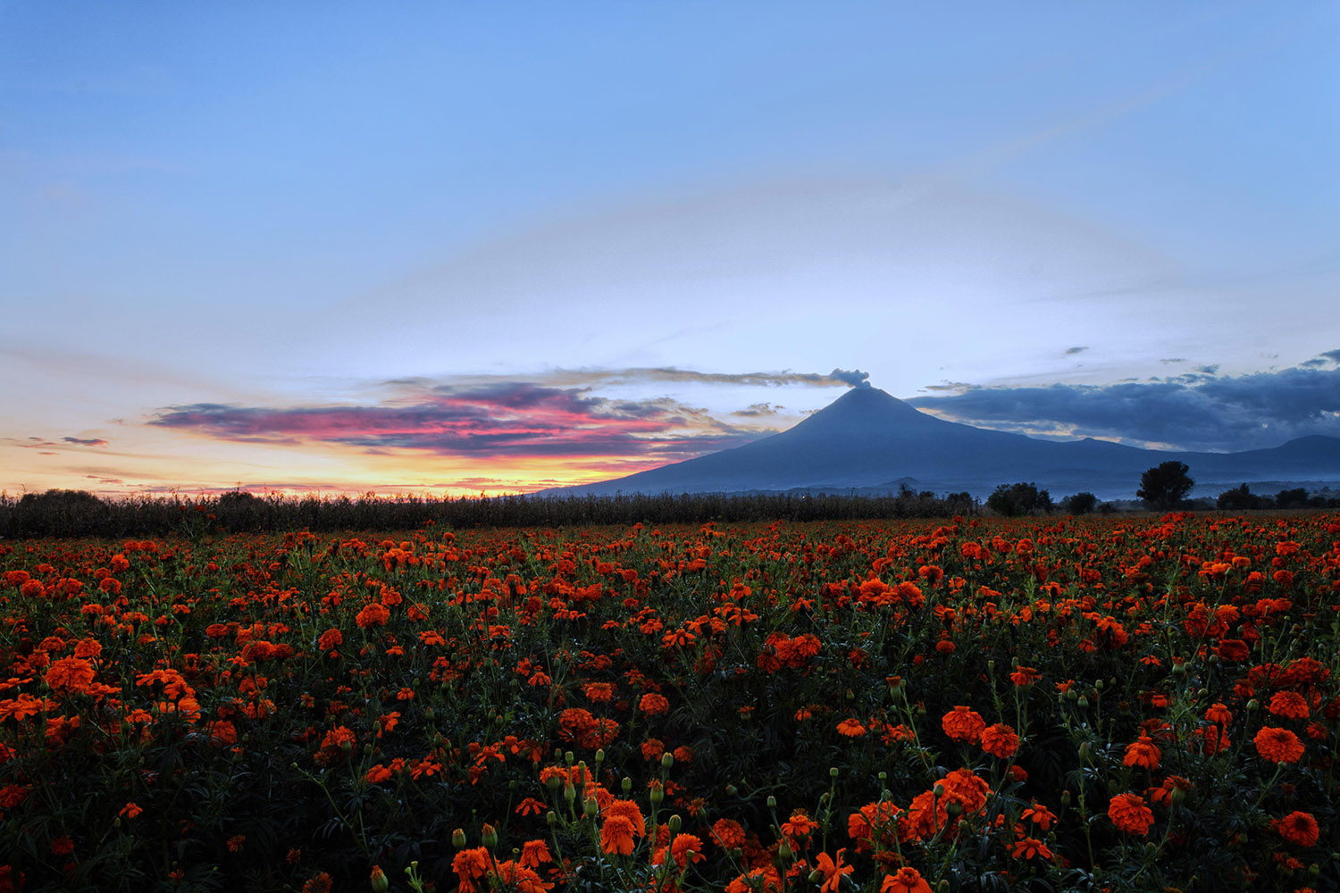 foto:Yaninee Ortega mendoza - lo hecho en México