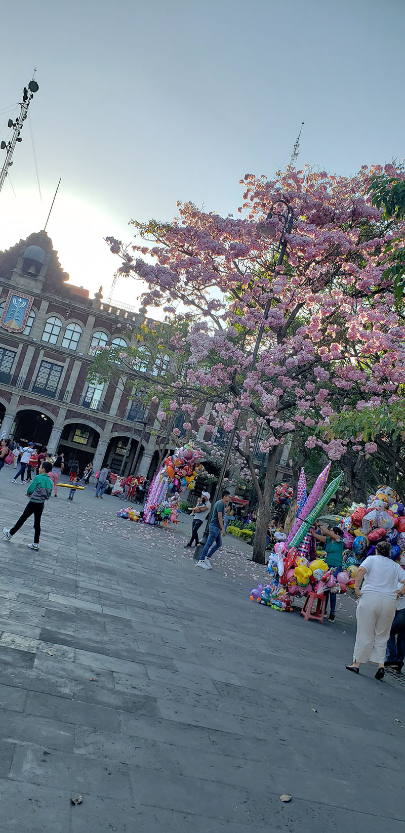 foto:Maria Isabel Dominguez Lopez  - lo hecho en México