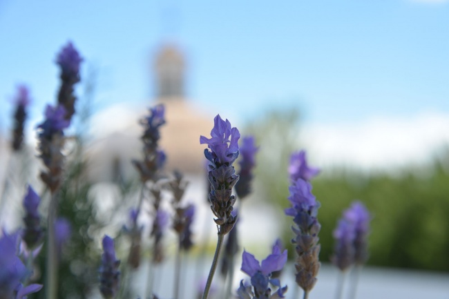 foto:juan rodriguez - lo hecho en México