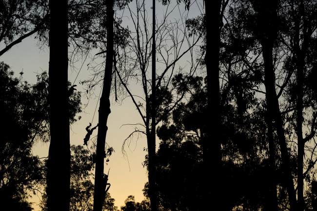 foto:Adrián Soulé Valera - lo hecho en México