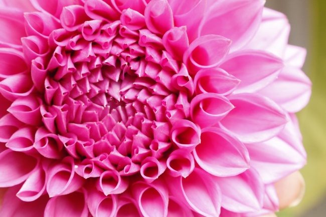 foto:DALILA FLORES DE JESÚS - lo hecho en México