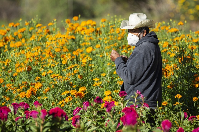 foto:MARCO ANTONIO HERNANDEZ CESAR - lo hecho en México