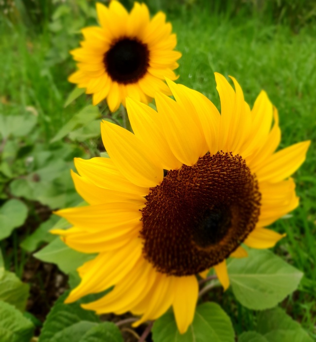 foto:Maria Elena Martinez Luja - lo hecho en México