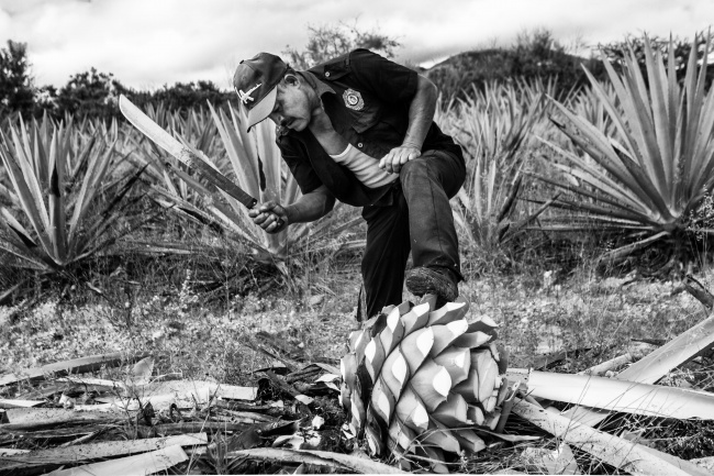 foto:OMAR RODRÍGUEZ DOMÍNGUEZ  - lo hecho en México