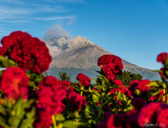 foto:Sonia Alejandra Gutiérrez Cruz - lo hecho en México