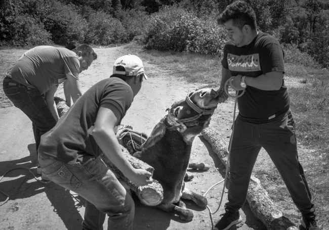 foto:Miguel Pedraza Moreno - lo hecho en México