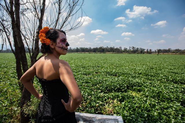 foto:Roberto Rafael Silva García - lo hecho en México