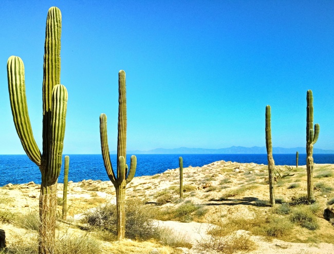 foto:Bernardo Daniel Martinez Dibene  - lo hecho en México