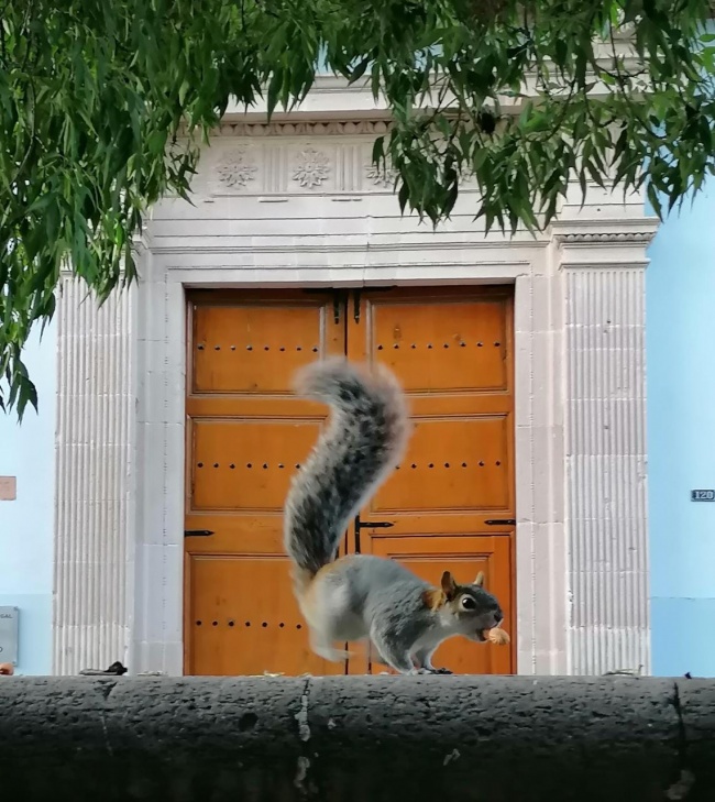 foto:Rocío del Carmen Alvarado Ponce  - lo hecho en México