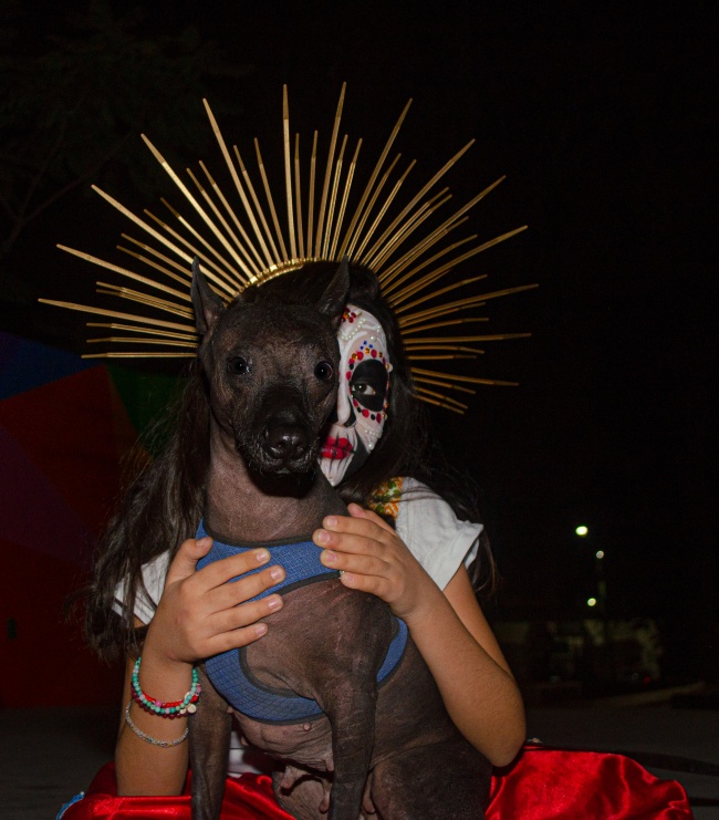 foto:José Jonathan Ojeda Guerrero - lo hecho en México