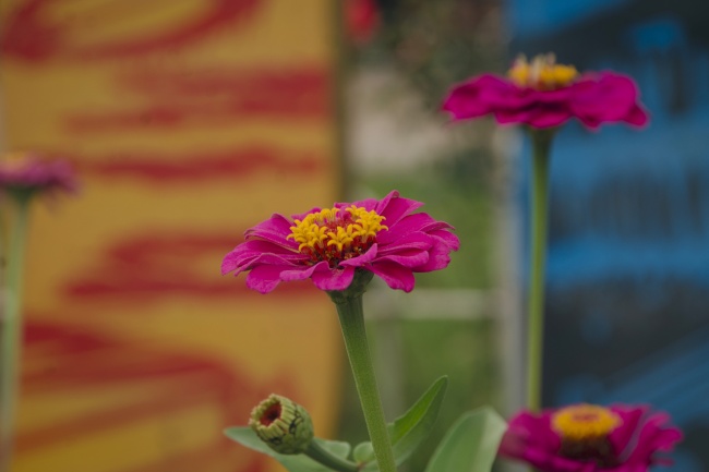 foto:Leonela López Coronel - lo hecho en México