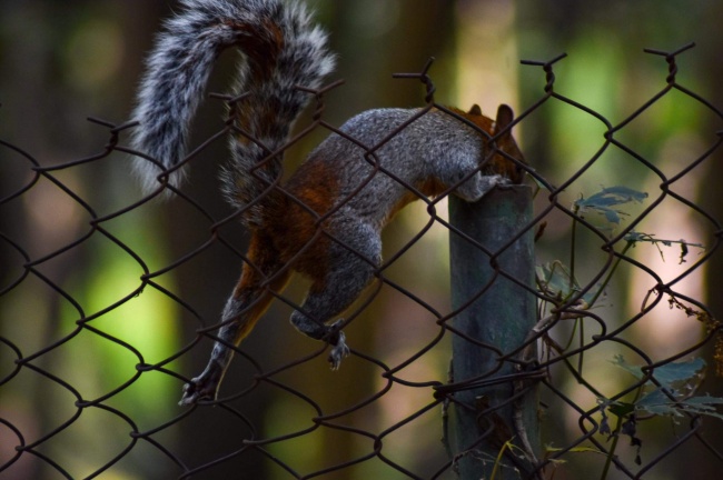 foto:Ilse Adriana Barrios Fernández  - lo hecho en México