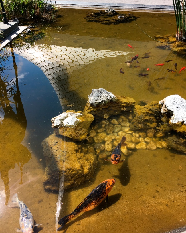 foto:Iván Bonola Maravilla - lo hecho en México