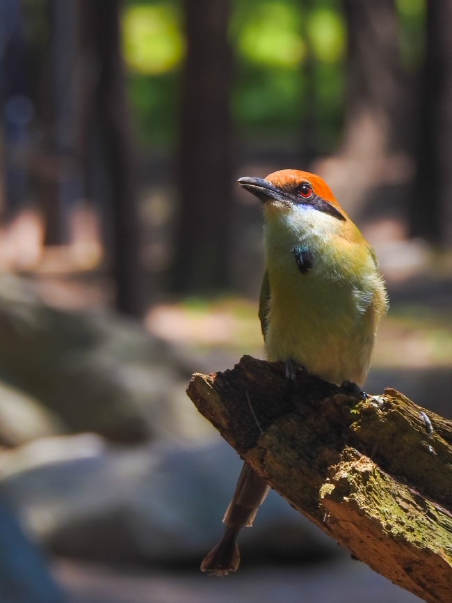foto:Edgar Gómez Salvador  - lo hecho en México