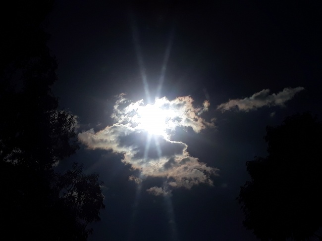 foto:Alma Rosa Barreto Domínguez  - lo hecho en México