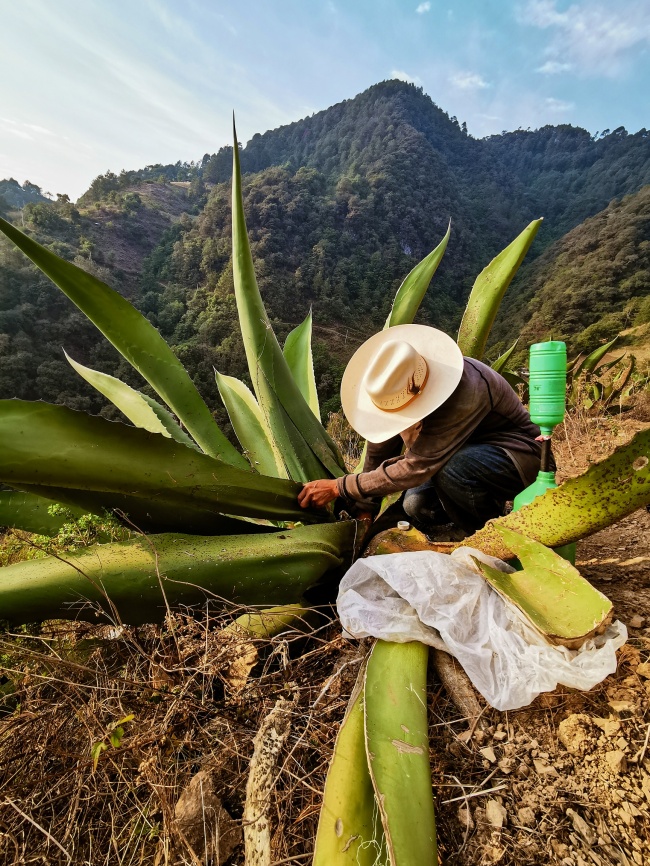 foto:Marco Antonio González Moreno - lo hecho en México