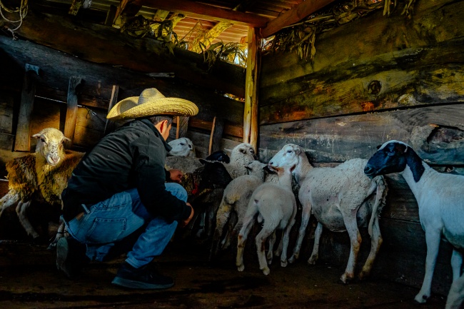 foto:Hugo Sánchez Cruz - lo hecho en México