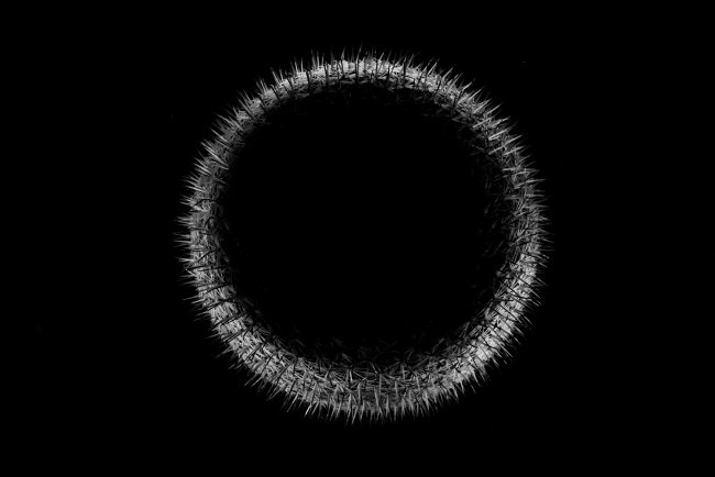 foto:Edgar Serrato Hernández - lo hecho en México