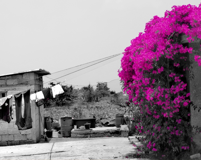 foto:Claudia González Guevara - lo hecho en México