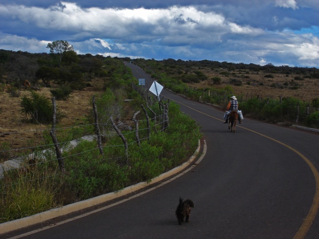 foto:Andrea Elizabeth Alcalá Navarro - lo hecho en México