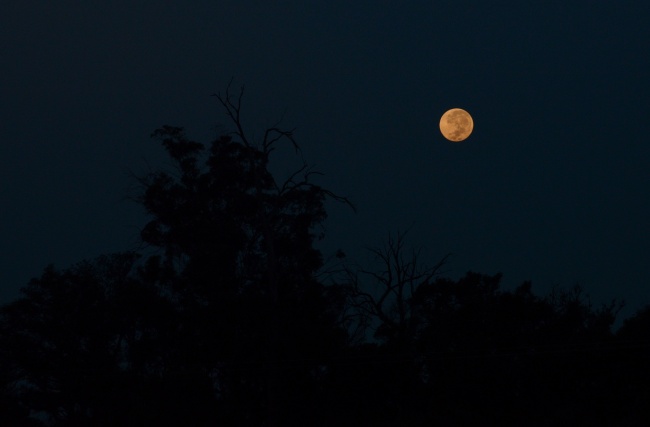 foto:Fabiola Ireli Vázquez Torres  - lo hecho en México