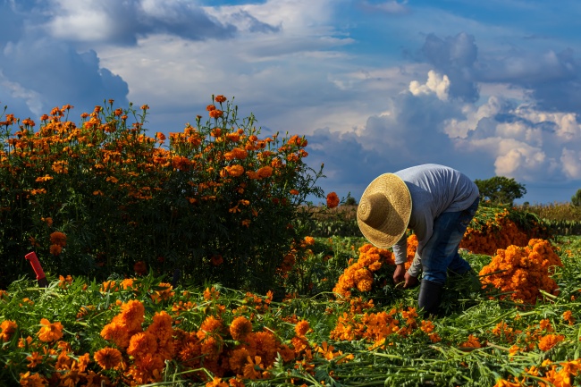 foto:LIZBETH BOJORGES BARBA - lo hecho en México