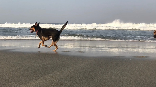 foto:Norberto Sanchez Sanchez - lo hecho en México