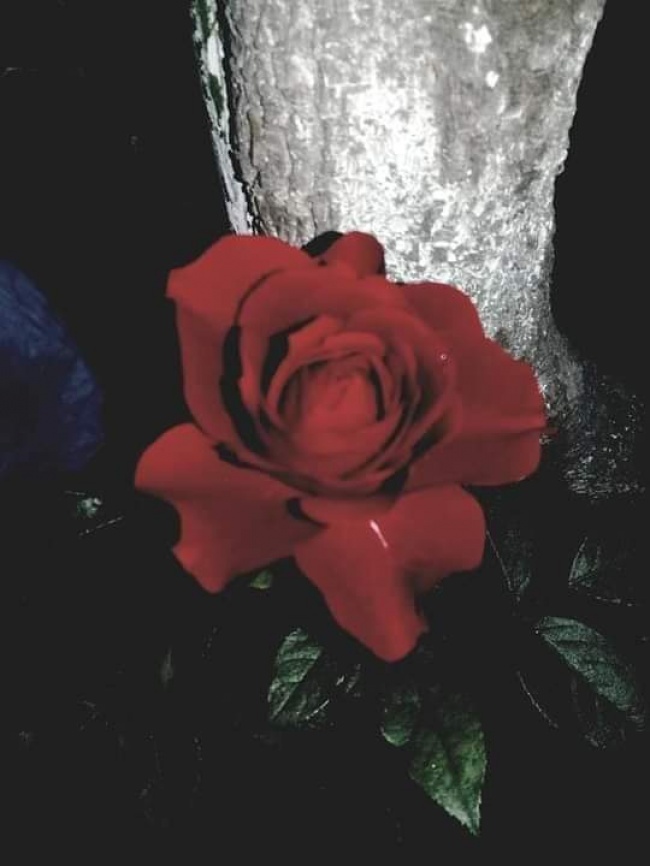 foto:Valentina Zoé Vergara García - lo hecho en México