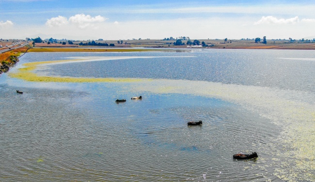 foto:Miguel Ángel Hernández Reséndiz  - lo hecho en México