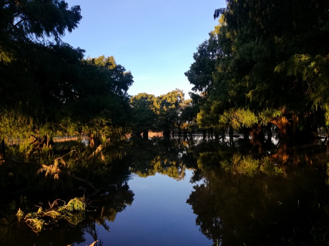 foto:Alejandra Canizal Mendoza  - lo hecho en México