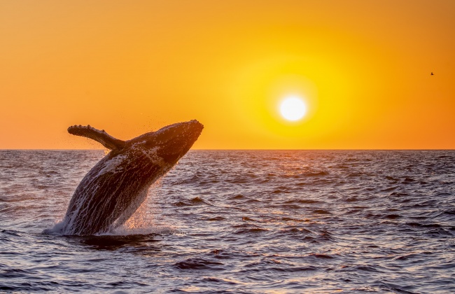 foto:CARLA SANTANA TORRES - lo hecho en México