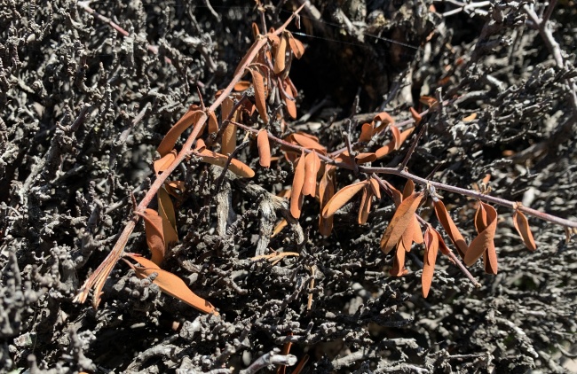 foto:RODRIGO MONTES DE OCA  - lo hecho en México