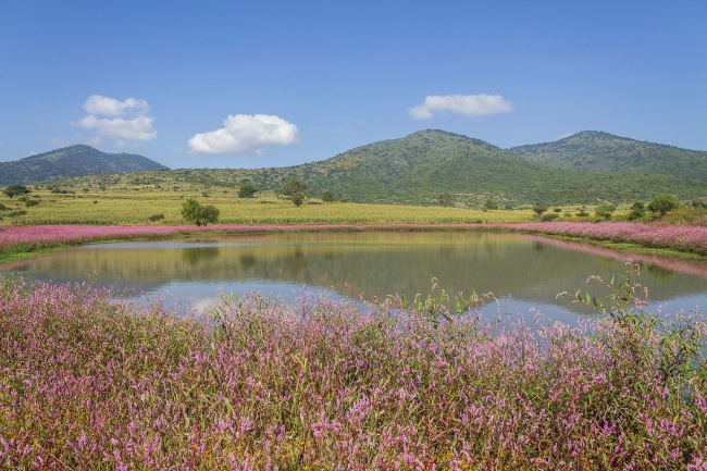 foto:CLARA AGUILAR OLVERA - lo hecho en México