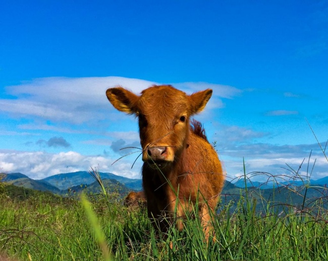 foto:Julio Gustavo Dionicio Corona  - lo hecho en México